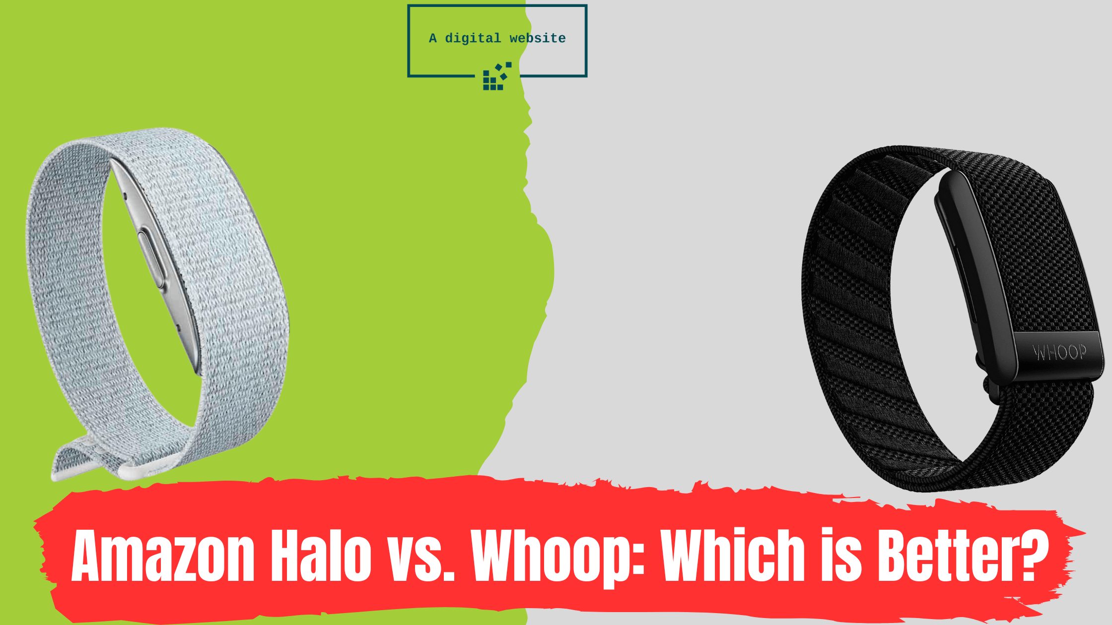 You are currently viewing Amazon Halo vs. Whoop : Which is Better?